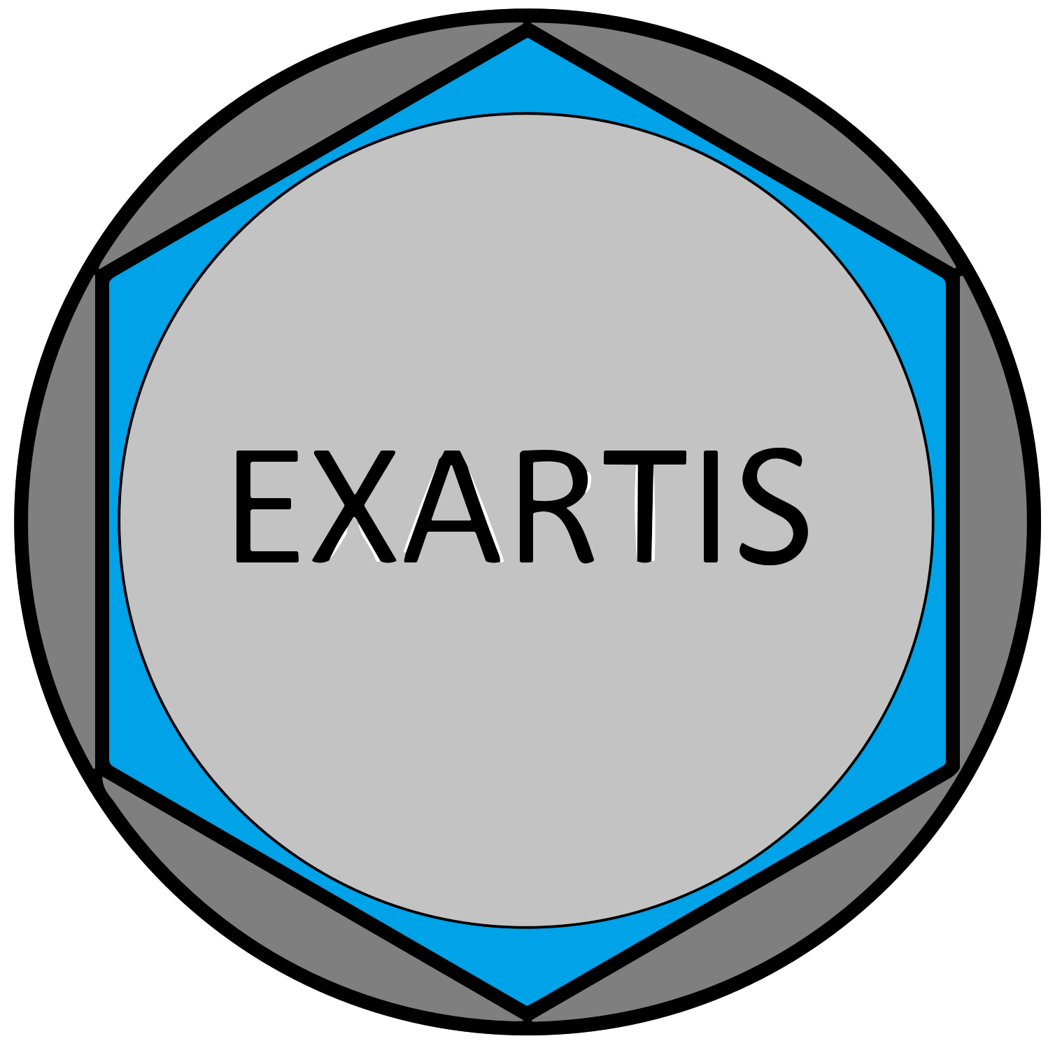 exartis.com.ar